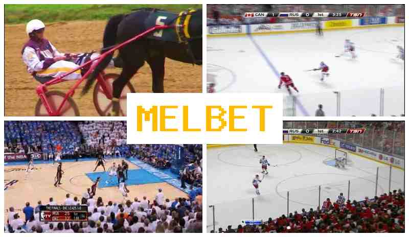 ELBET 🔵 Букмекерская компания