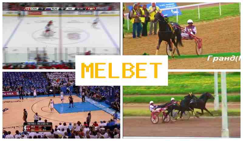 MEOBET 🏀 Ставки на спорт, бонус при регистрации, официальный сайт букмекера