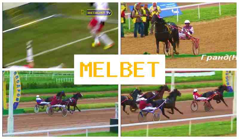 MELBETT ▓ Trusted Betting Company, Official Website, Free Bets and Bonuses, Sign Up