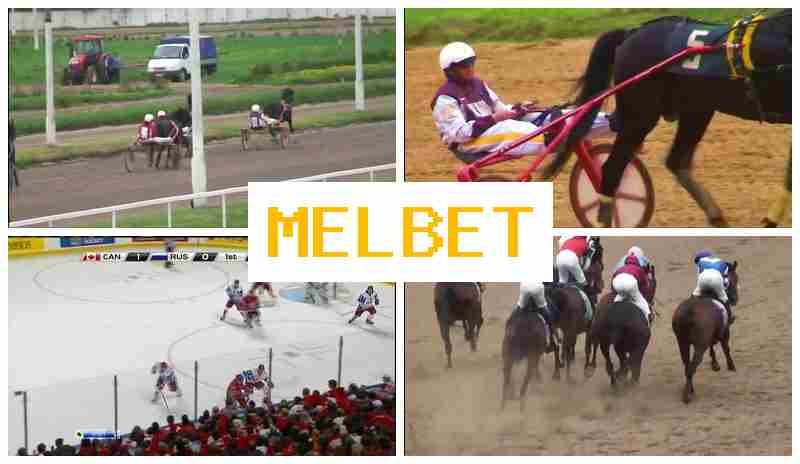 M3LBET 🔵 Bookmaker Company