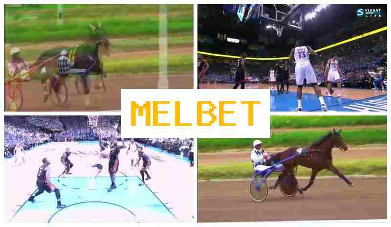 MRLBET 🔶 Sportsbook Bets, Digital Sports Bets, Official Bookmaker Site