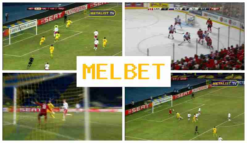 MELVET 🔔 Official Sportsbook Platform, Online Sports Bets