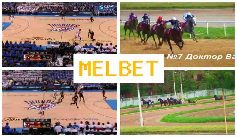 ML BET ✔️ Sports Betting, Official Portal of the Bookmaker