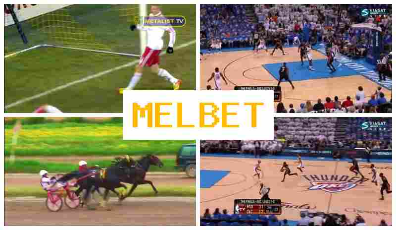 MEL BETT 🔹 Authorized Bookmaker Online, Official Website, Special Offers and Rewards, Sign Up