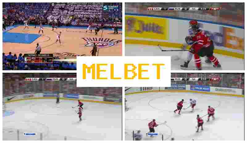 MLE BET ⚡ Sportsbook Company, Official Site, Bonuses and Free Bets, Registration