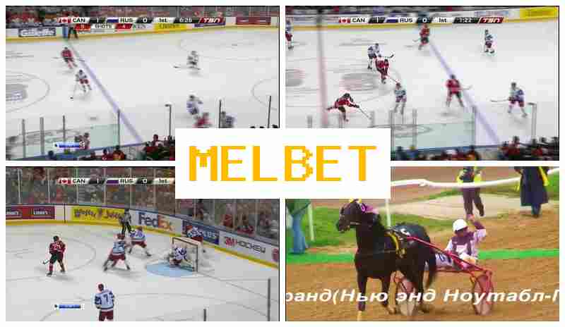 NEL BET 🔸 Sportsbook, Online, Deposit Bonus, Official Bookmaker Website