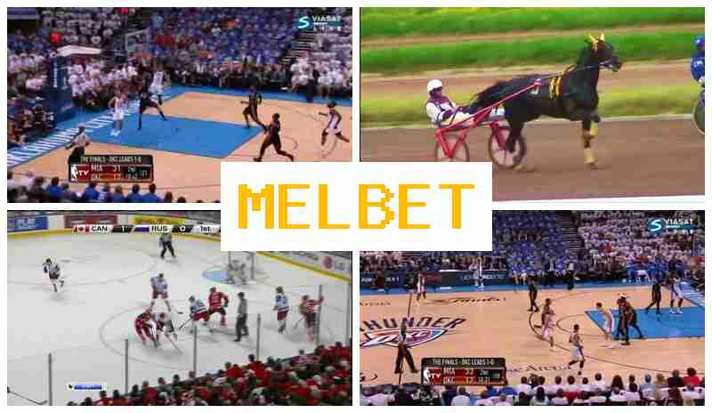 MWL BET 💲 Bet on Sports, New User Bonus, Official Page of the Betting Firm