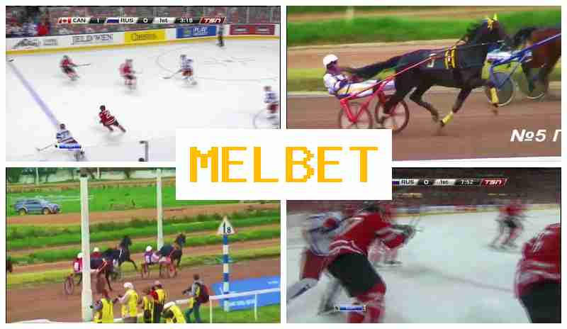 MDL BET ▒ Online Bookmaker, Official Site