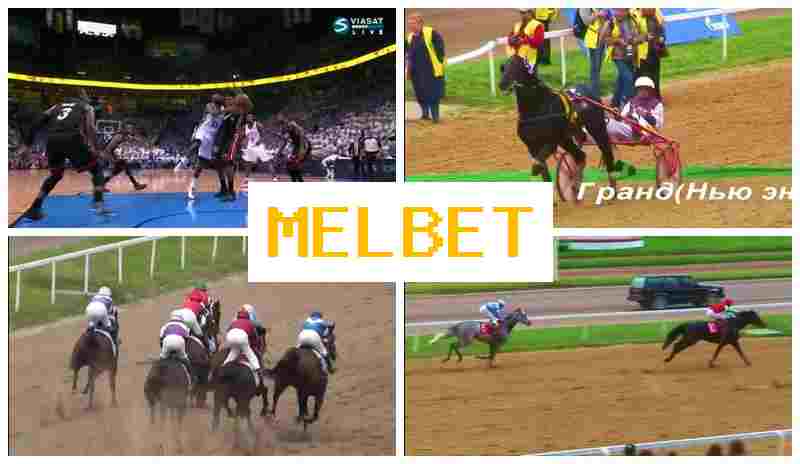 MEL BWT 💯 Betting Platform, Official Site, Bonuses and Free Bets, Registration