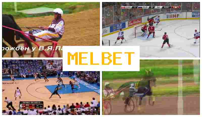 MEL BER ☘ Verified Betting Company Site, Live Sports Wagering, Special Offers and Rewards
