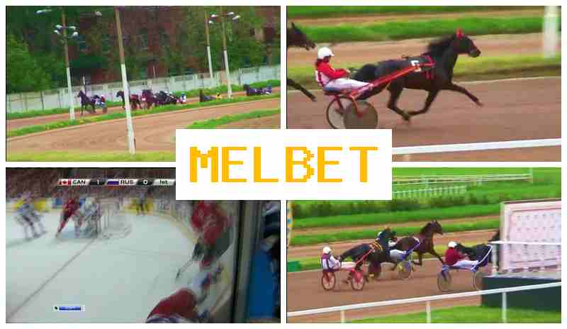 MEL BEF 🆕 Sportsbook Online, Access Official Site, Join Now, Bet on Sports