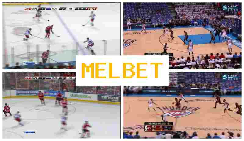 M3LBET ☑️ Official Sportsbook, Sign Up, Access Official Site