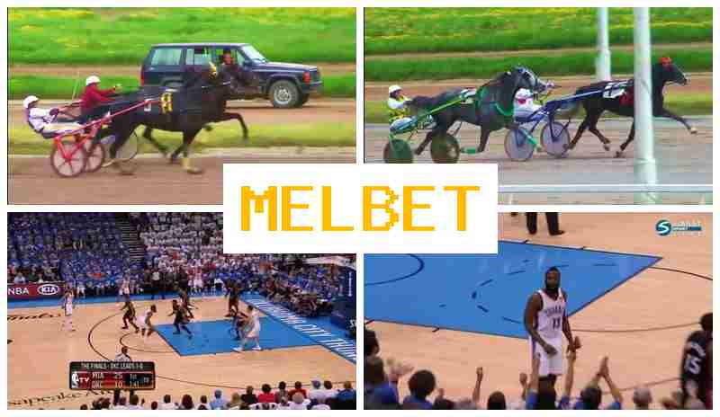 MDLBET █ Bookmaker Online, Access Official Platform, Register, Wager on Sporting Events