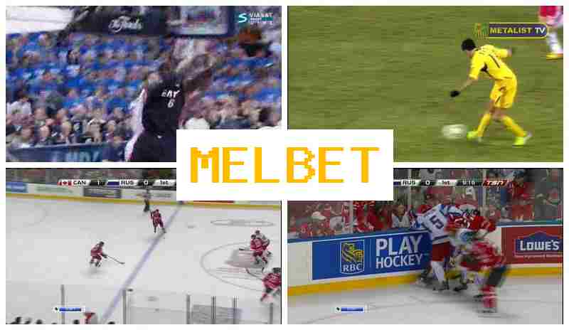MELB3T 👍 Bookmaker Platform, Online