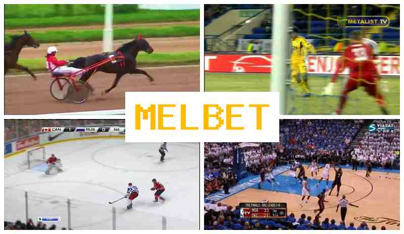 MLBET 🔔 Betting Platform, Official Site, Bonuses and Free Bets, Registration