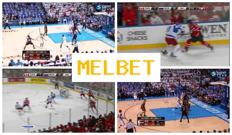 EL BET 🏀 Online Sports Bets, Free Bets and Bonuses, Official Bookmaker Platform