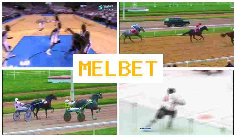 MEL BT 🆓 Online Sports Betting, Registration Bonus, Verified Website of the Betting Firm