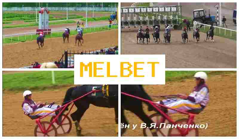 MLE BET 🔔 Online Bookmaker, Official Site, Registration