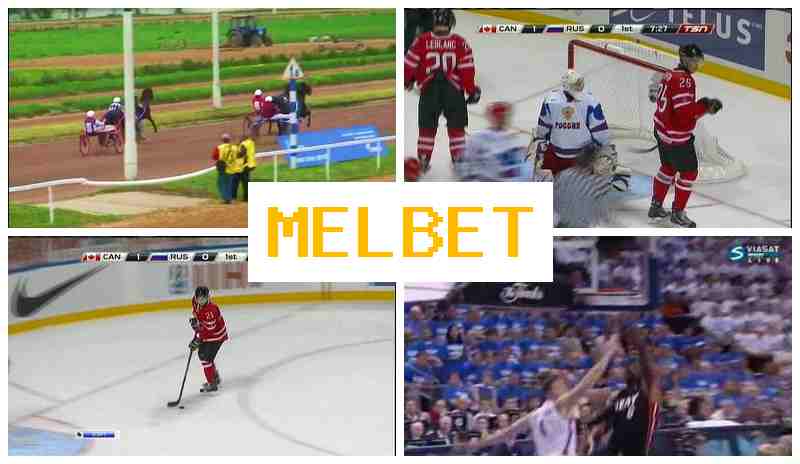NEL BET 🆓 Bet on Sports, Internet with Attractive Odds