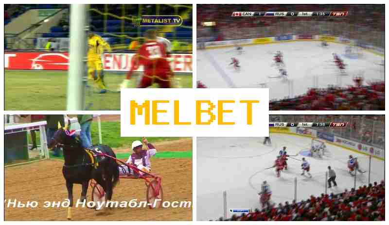 ,EL BET 💷 Sportsbook Bets, Internet Betting, Bonus Offers, Official Bookmaker Site