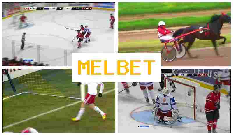 M3L BET 🆕 Betting on Sporting Events