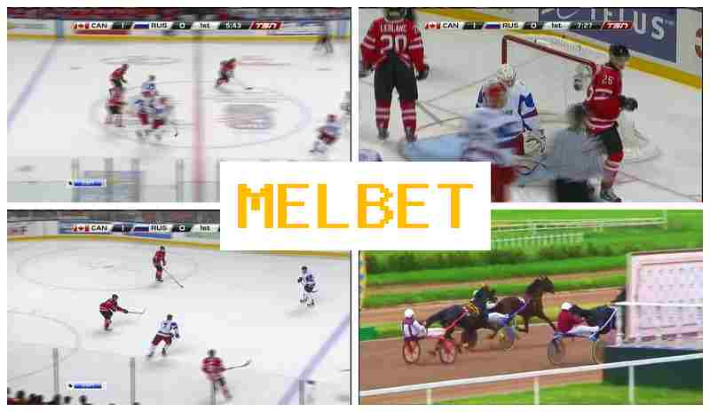 MEL VET 💵 Bet on Sports, Bonus on Registration, Official Platform of the Bookmaker
