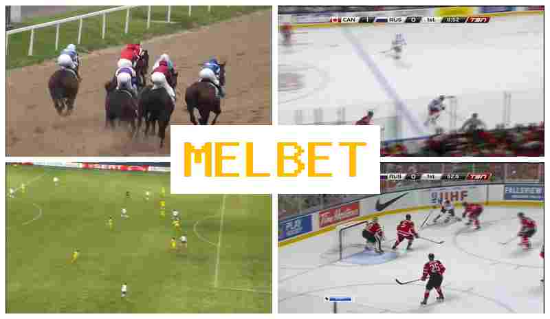 MELLBET 🔶 Live Sports Betting, Introductory Bonus, Official Platform