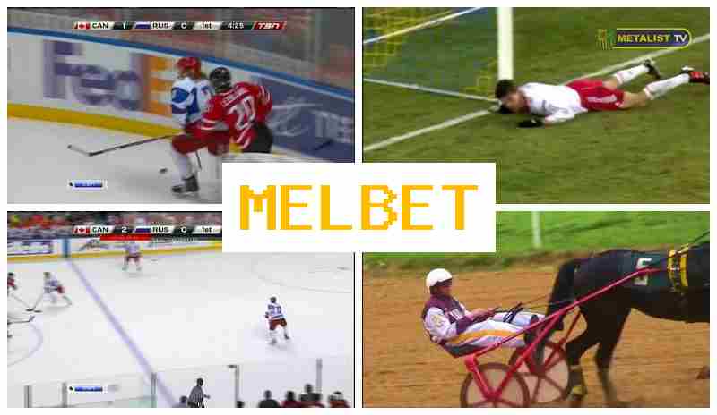 MELEBT 🔵 Betting Platform, Official Site, Promotions and Bonuses, Registration