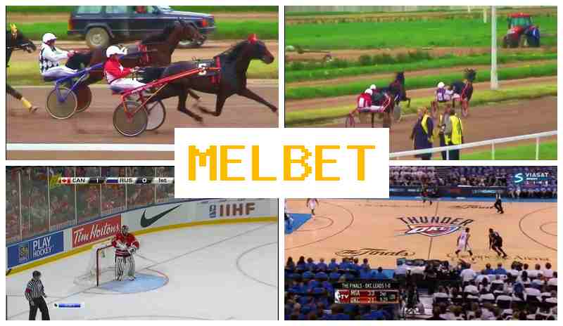 MELBTE 💶 Live Betting on Sports, Digital Sports Betting offering Premium Odds