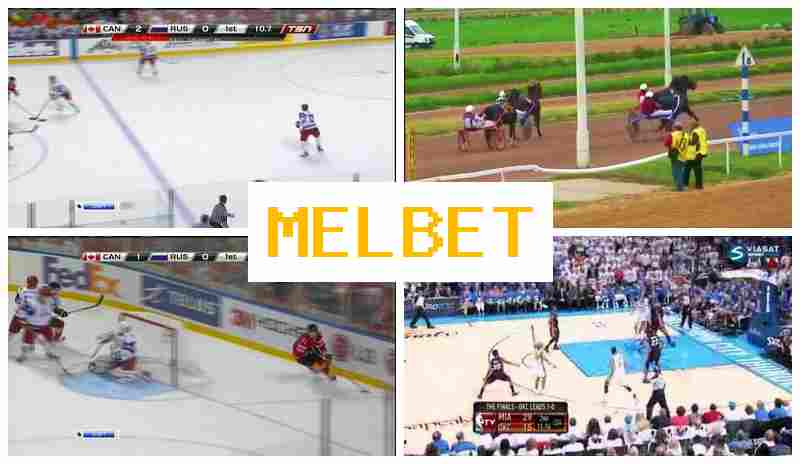 NELBET 🔵 Sportsbook, Online, Free Bets
