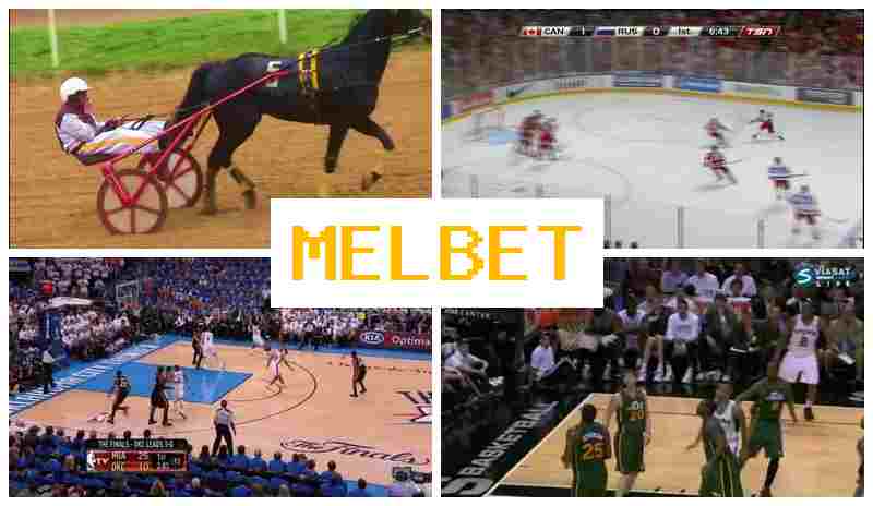 MRLBET 🔶 Verified Sportsbook, Official Website, Special Offers and Rewards, Sign Up