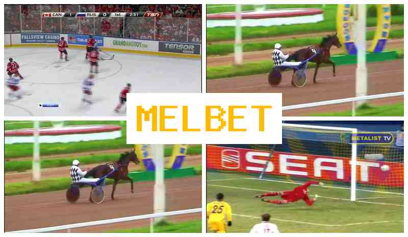 MDLBET 🆓 Official Bookmaker Site, Bet on Sports, Promotions and Bonuses