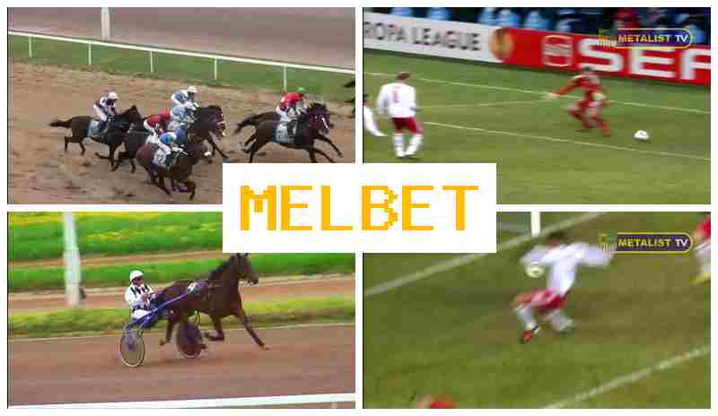 ME,BET 🌟 Bookmaker Company