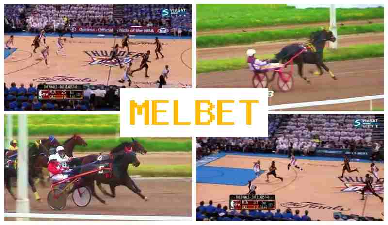 MELNET ▓ Virtual Betting Company, Sports Betting