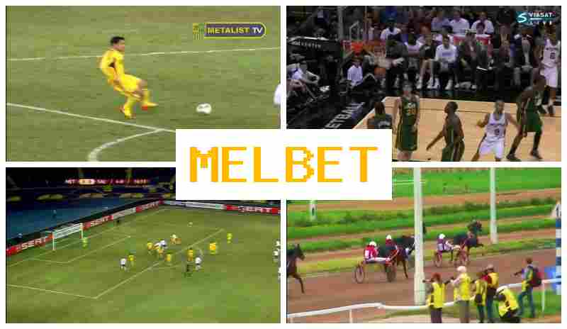 EL BET 🔸 Sportsbook Online, Login, Sign Up, Bet on Sports