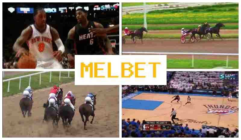 MEEL BET 👍 Betting Firm, Online