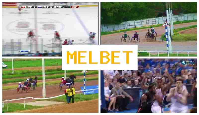 MLE BET ⚽ Online Sports Bets, Special Offers and Rewards, Official Site