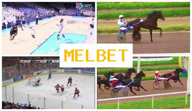 MELET 💶 Verified Sportsbook, Official Website, Sign Up