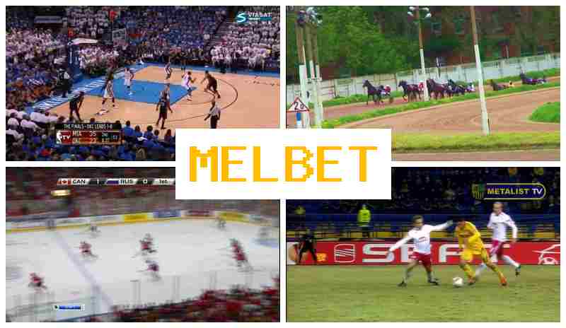 NEL BET 💯 Authorized Betting Site, Bet on Sporting Events, Exclusive Bonuses
