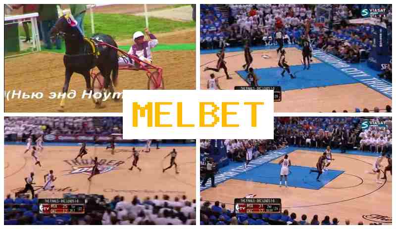 MWL BET 🔵 Bet on Sports, Bonus on Registration, Verified Site