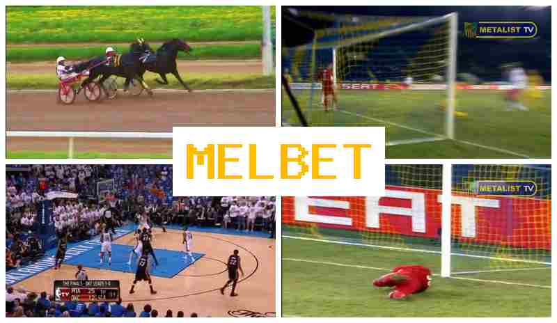 M3L BET ▒ Online Bookmaker, Enter Official Platform, Join Now, Wager on Sporting Events