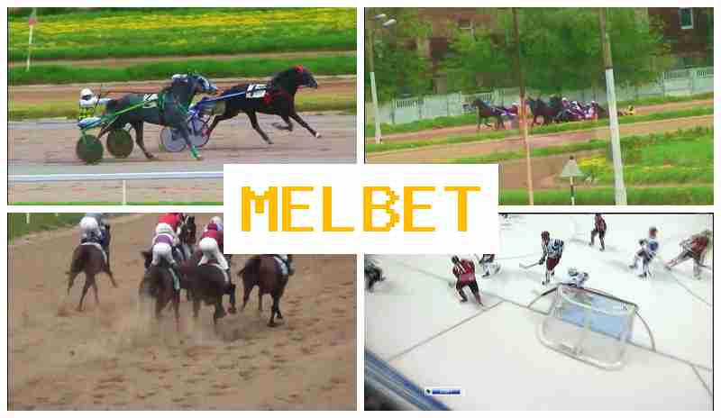MDL BET 👍 Online Betting Platform, Create Account, Access Official Site, Sports Betting