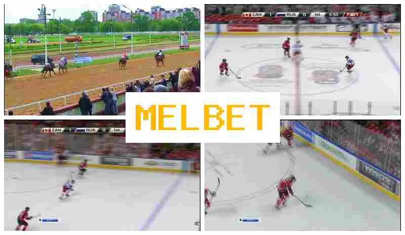 MEO BET ⚡ Sportsbook, Official Bookmaker Portal