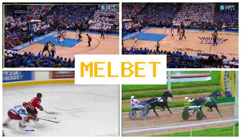 ME. BET 💲 Online Bookmaker, Online, Official Bookmaker Website