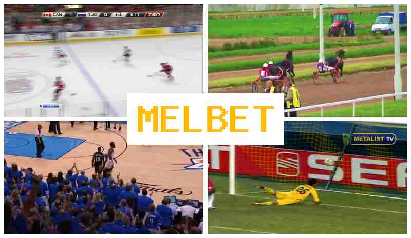 MEL VET 🌐 Betting on Sporting Events, First Deposit Offer, Verified Website
