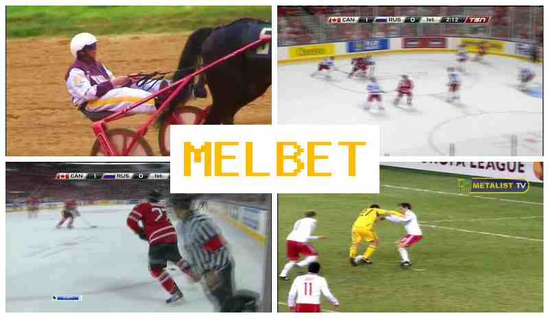 MWLBET 🎇 Live Sports Bets, Virtual with Top Odds