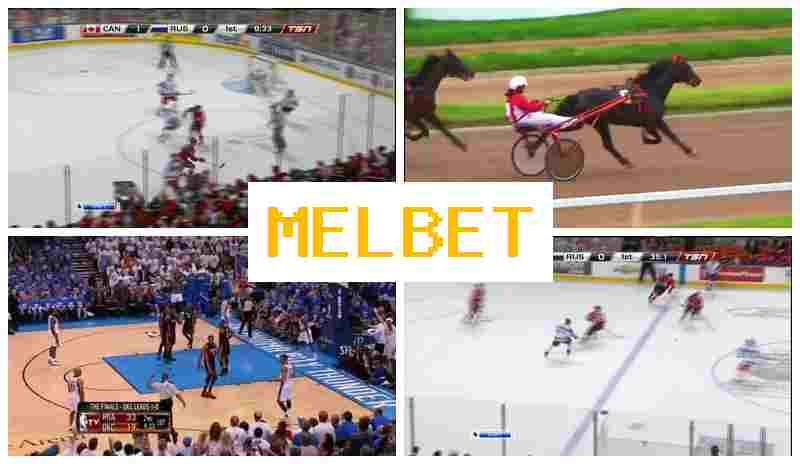 MDLBET 🔶 Official Bookmaker Site, Online Sports Bets