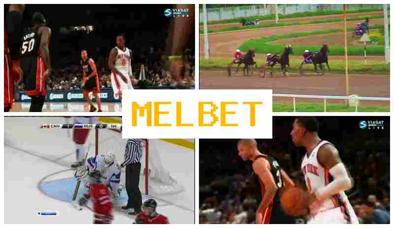 MELBST 💯 Bookmaker Company, Online