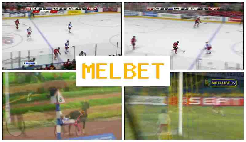 MELBE5 🔷 Sportsbook Online, Enter Official Platform, Join Now, Sports Betting