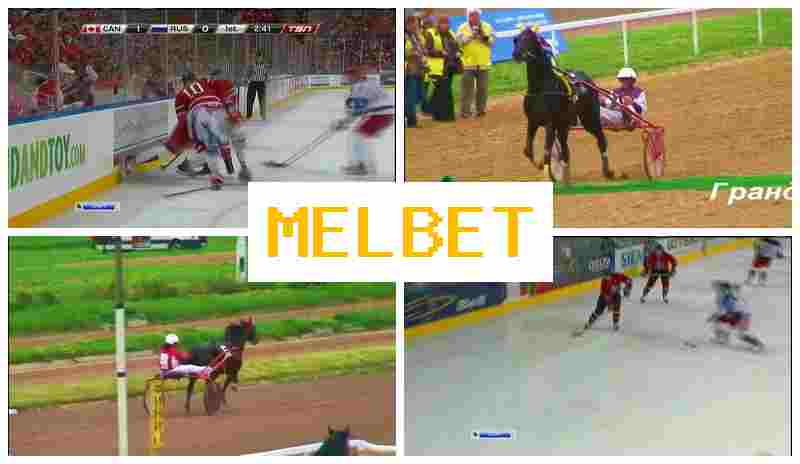 EL BET 💶 Sportsbook Company, Official Site, Bonuses and Free Bets, Registration